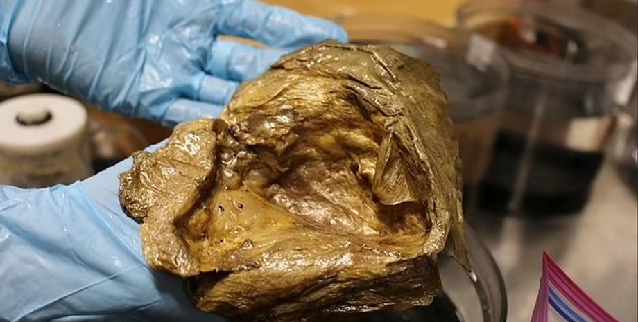 золотое яйцо океан