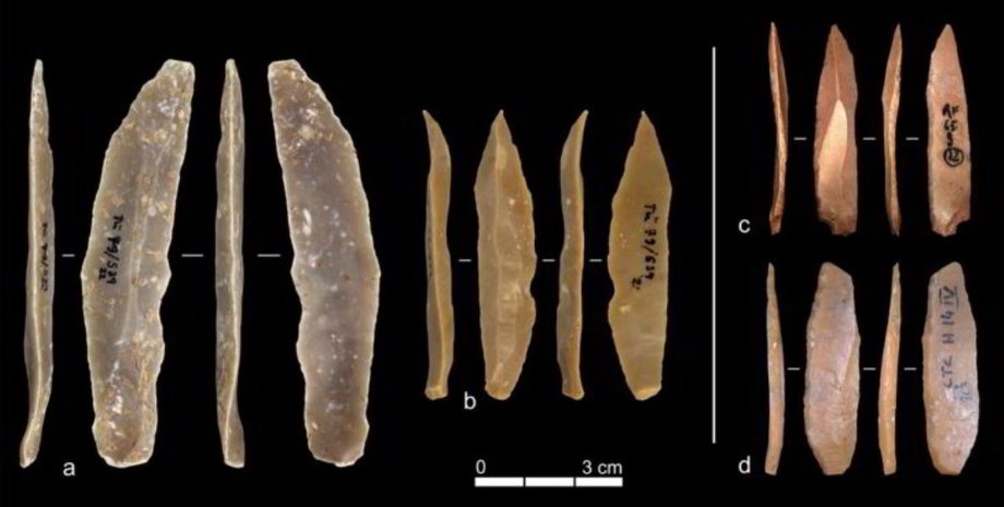 археологи обнаружили древние инструменты