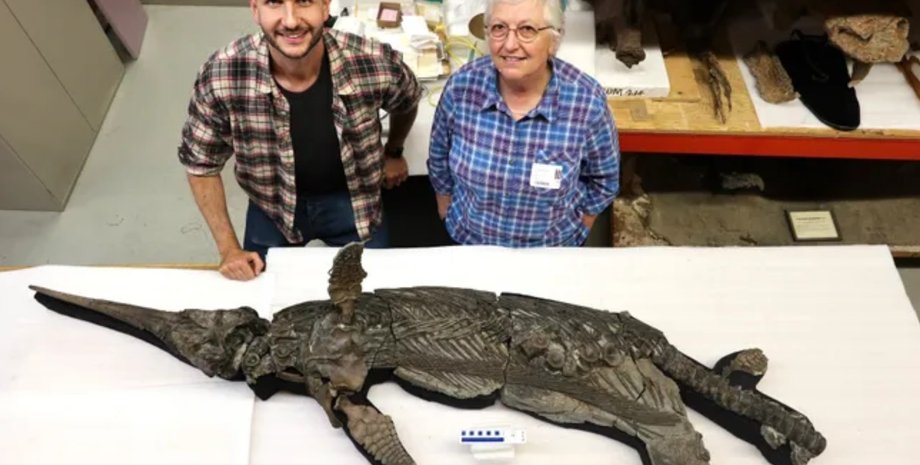 ихтиозавр Xiphodracon goldencapsis