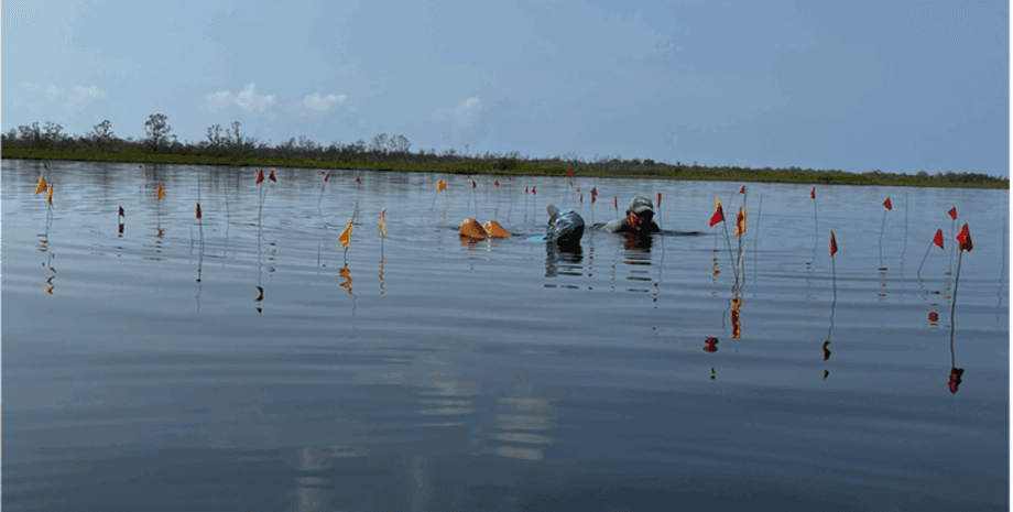исследователи раскопали солеварню майя
