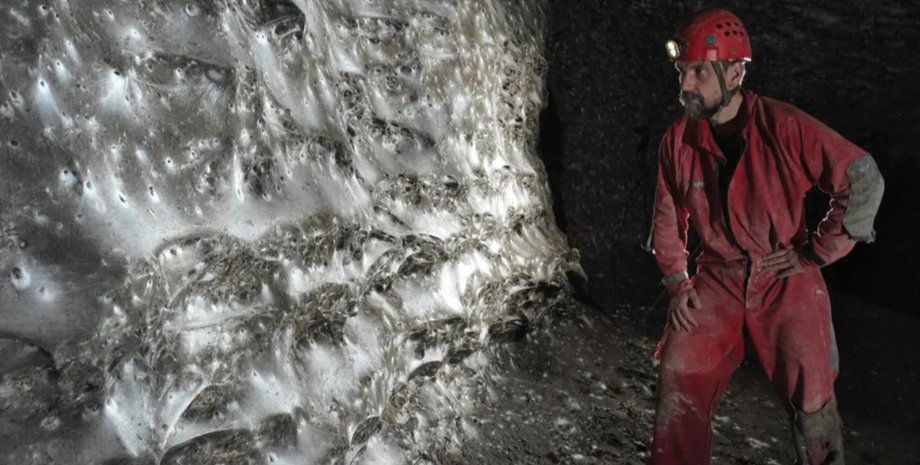 самая большая паутина, наибольшая паутина, пауки